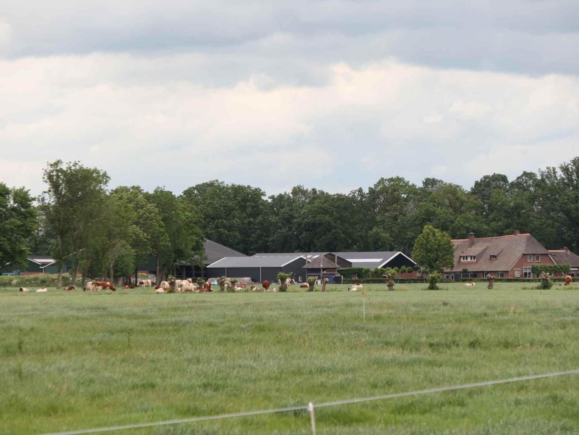 Hofstay195 Achterveld 外观 照片