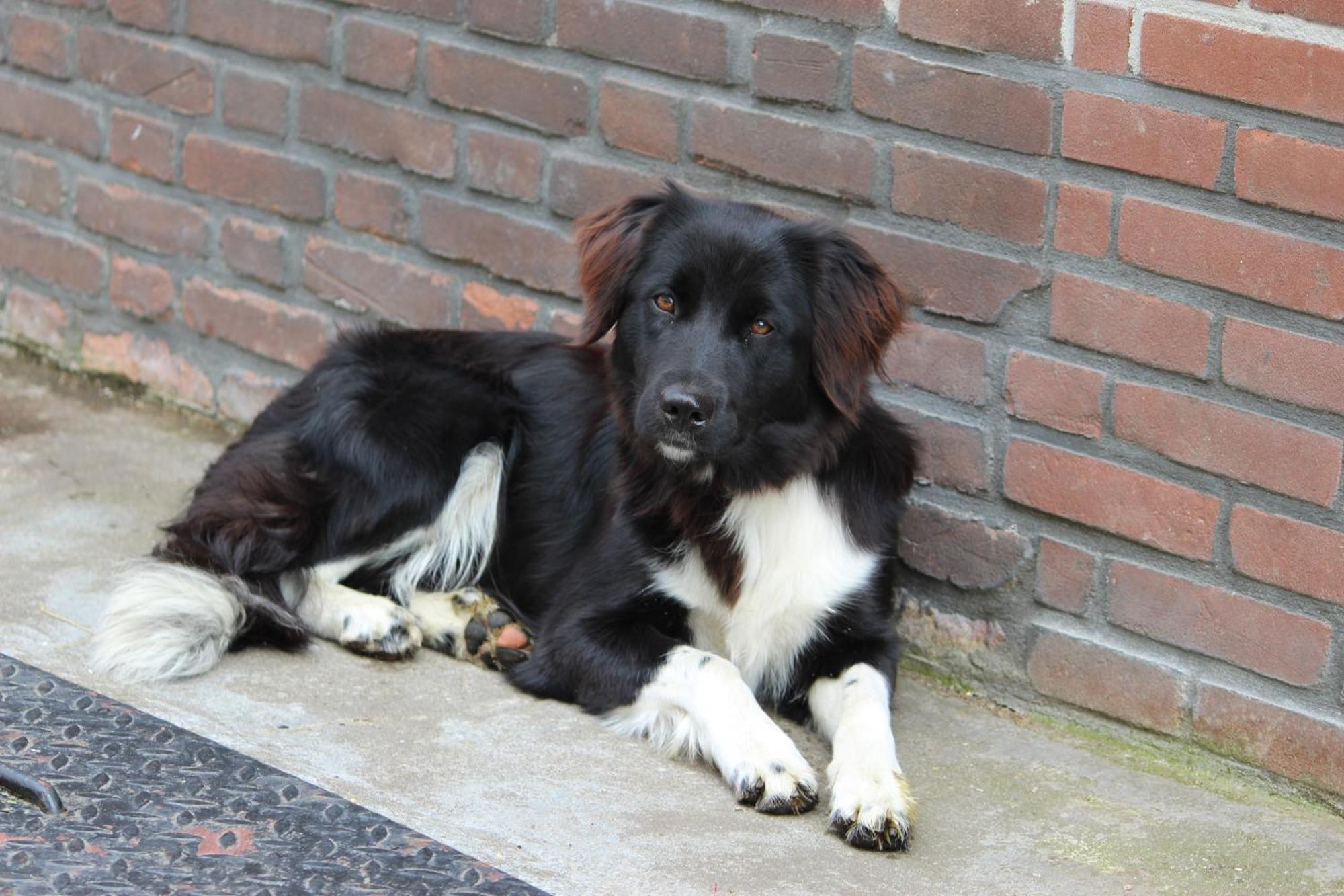 Hofstay195 Achterveld 外观 照片